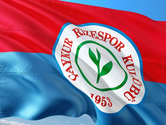 態無疑是一 態無疑是一