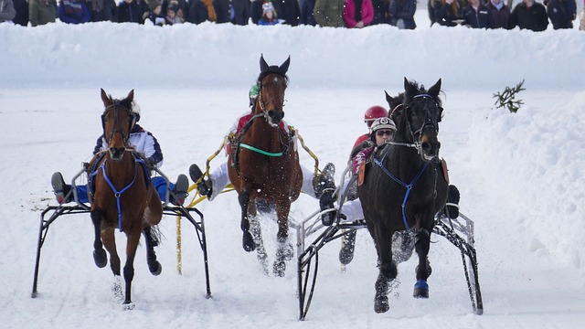 了比賽的公 了比賽的公