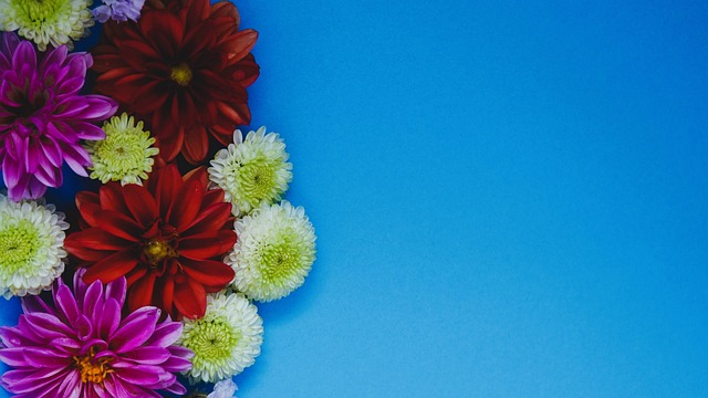 和果敢的进 和果敢的进