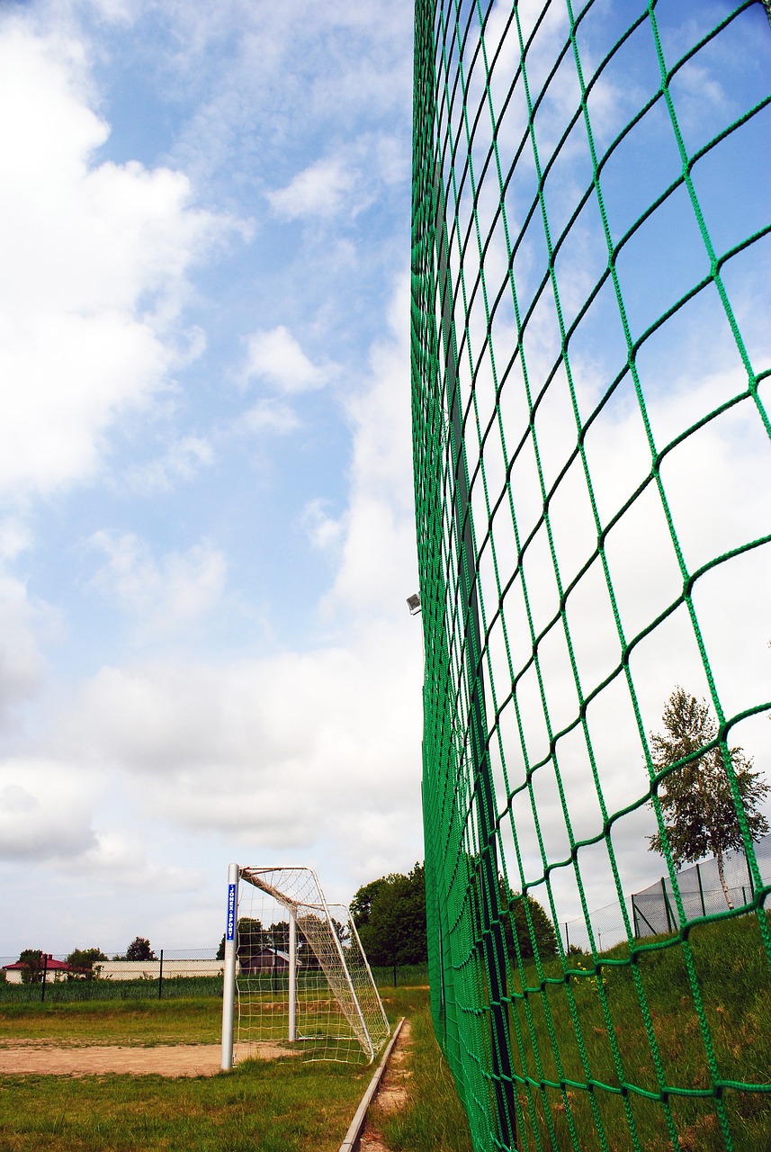 这些资源不 这些资源不