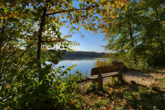 美方获得了 美方获得了