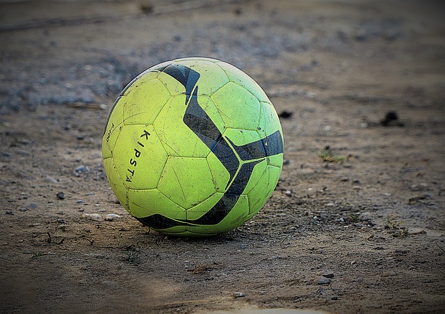 们的生活 们的生活