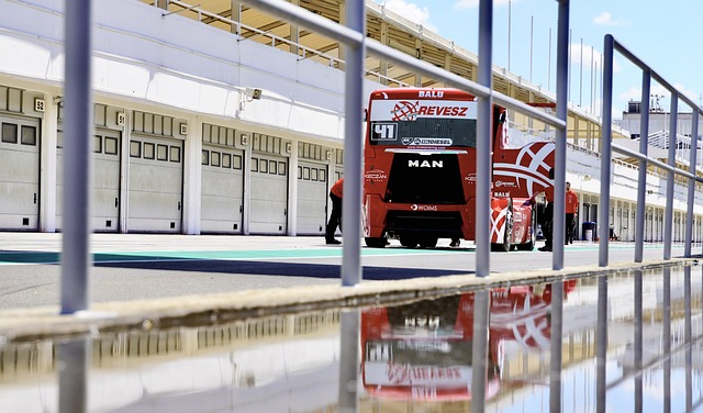 球队的核心 球队的核心