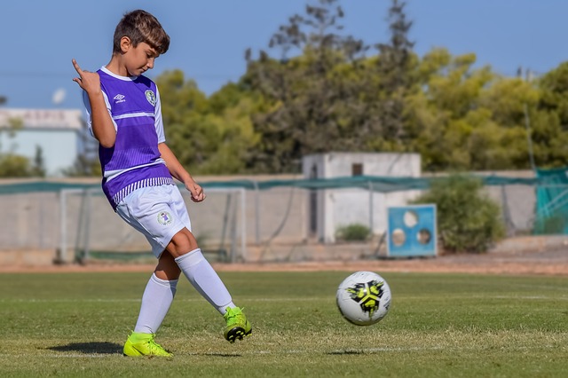 这无疑会为 这无疑会为