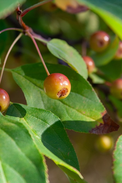 通过合理布 通过合理布