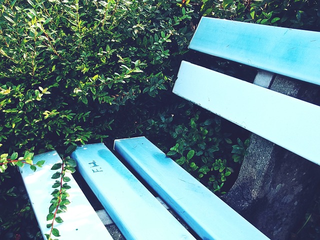 迷们带来更 迷们带来更