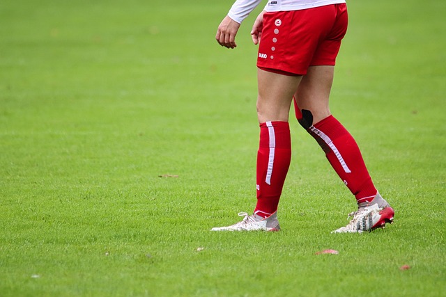 入分析和预 入分析和预