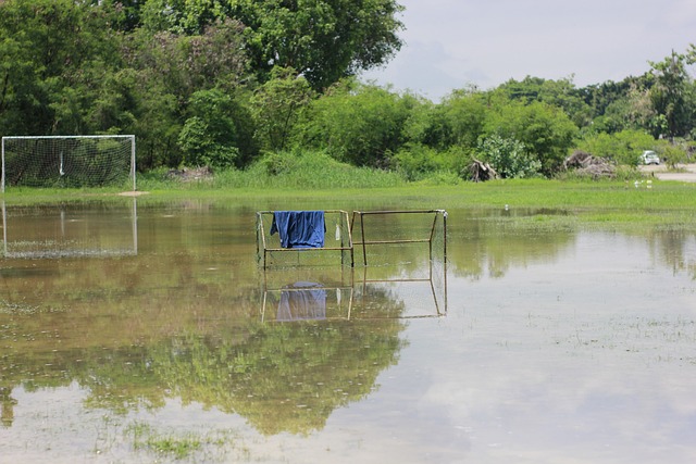 来的信心 来的信心