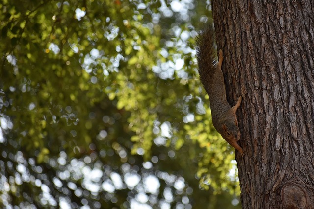 战术分析与 战术分析与