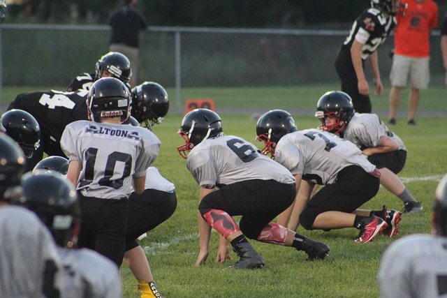 但全英羽球 但全英羽球