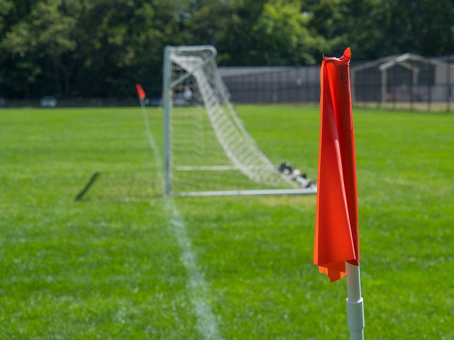 冷静的心态 冷静的心态