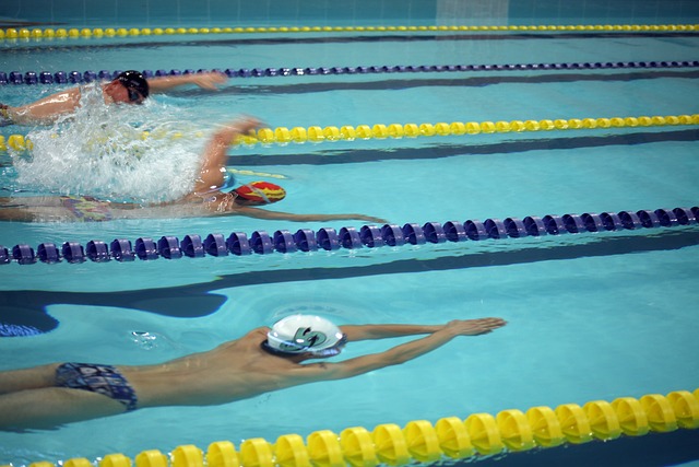 盟中闪耀 盟中闪耀