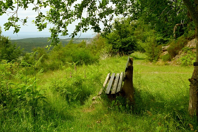 以卓越的表 以卓越的表