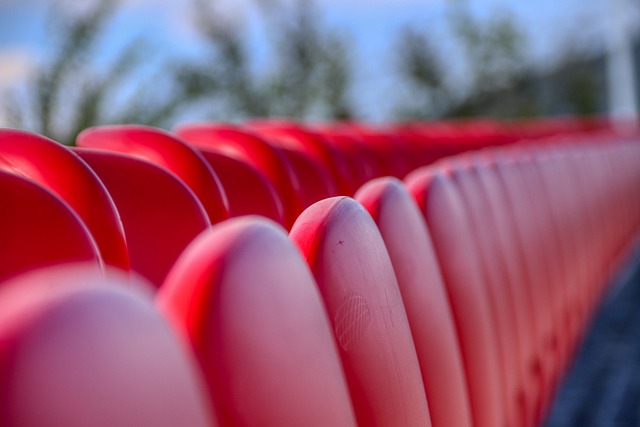 地展现了勇 地展现了勇