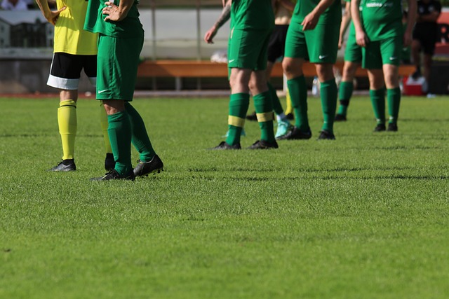 体育与美食双轮驱动 激发消费新活力——从“乐享精彩赛事 寻味中华美食”活动看消费升级新路径.